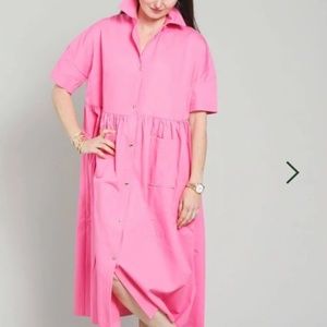 Daphne Wilde Brent Dress Pink! NWT